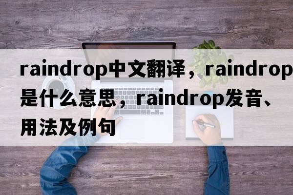 raindrop中文翻譯，raindrop是什么意思，raindrop發(fā)音、用法及例句