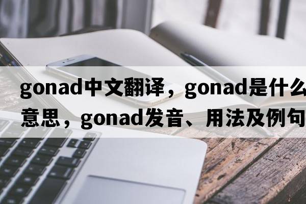 gonad中文翻譯，gonad是什么意思，gonad發(fā)音、用法及例句