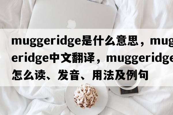 Muggeridge是什么意思，Muggeridge中文翻譯，Muggeridge怎么讀、發(fā)音、用法及例句