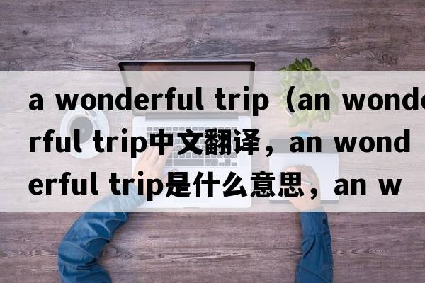 a wonderful trip（an wonderful trip中文翻譯，an wonderful trip是什么意思，an wonderful trip發(fā)音、用法及例句）