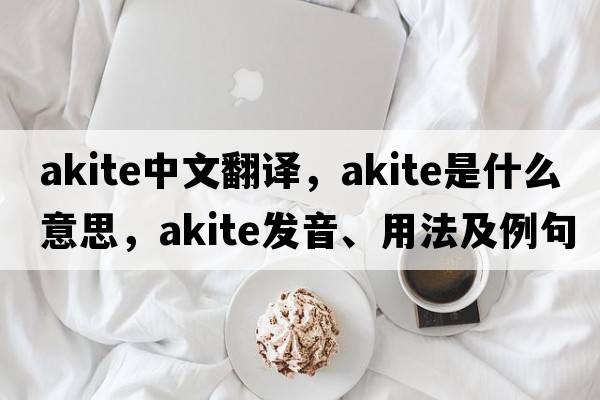 akite中文翻譯，akite是什么意思，akite發(fā)音、用法及例句