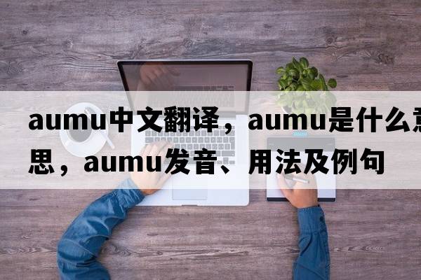 aumu中文翻譯，aumu是什么意思，aumu發(fā)音、用法及例句