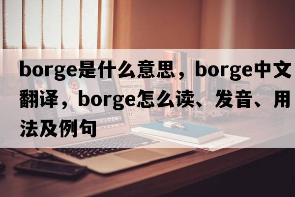 Borge是什么意思，Borge中文翻譯，Borge怎么讀、發(fā)音、用法及例句