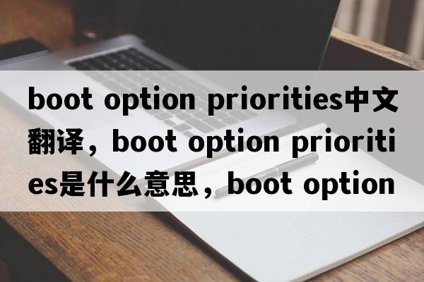 boot option priorities中文翻譯，boot option priorities是什么意思，boot option priorities發(fā)音、用法及例句