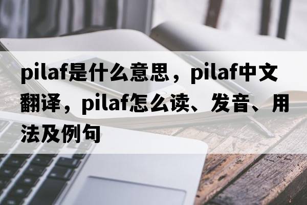 pilaf是什么意思，pilaf中文翻譯，pilaf怎么讀、發(fā)音、用法及例句
