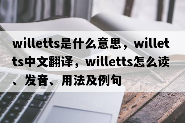 Willetts是什么意思，Willetts中文翻譯，Willetts怎么讀、發(fā)音、用法及例句