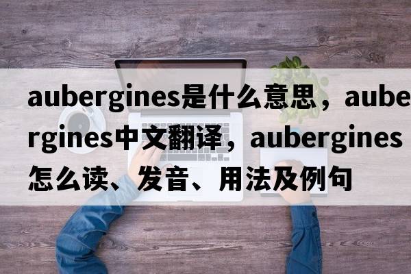 aubergines是什么意思，aubergines中文翻譯，aubergines怎么讀、發(fā)音、用法及例句