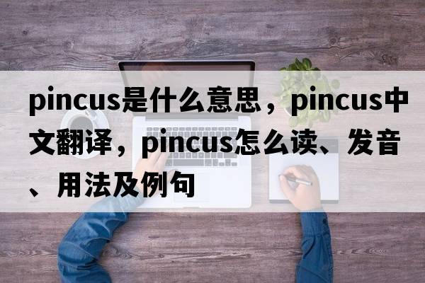 Pincus是什么意思，Pincus中文翻譯，Pincus怎么讀、發(fā)音、用法及例句