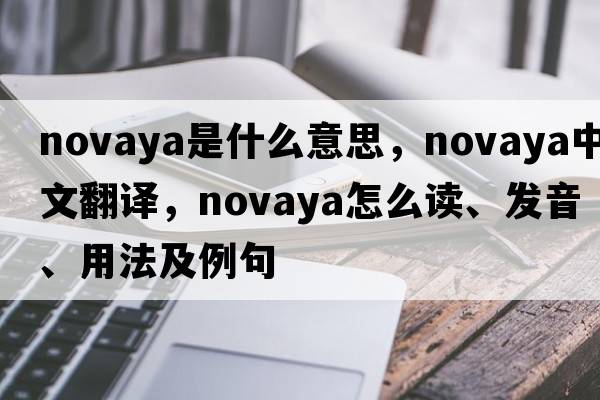 Novaya是什么意思，Novaya中文翻譯，Novaya怎么讀、發(fā)音、用法及例句