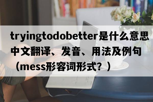 tryingtodobetter是什么意思中文翻譯、發(fā)音、用法及例句（mess形容詞形式？）