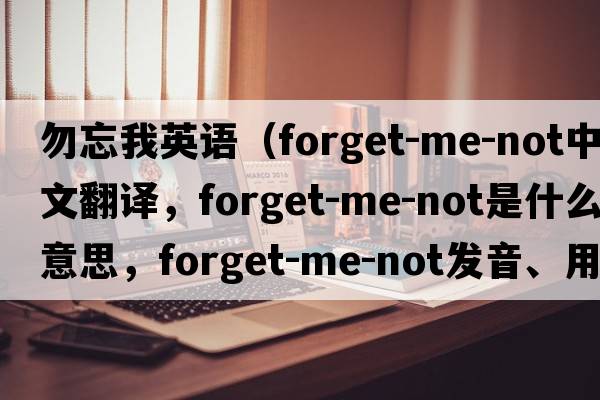 勿忘我英語(yǔ)（forget-me-not中文翻譯，forget-me-not是什么意思，forget-me-not發(fā)音、用法及例句）