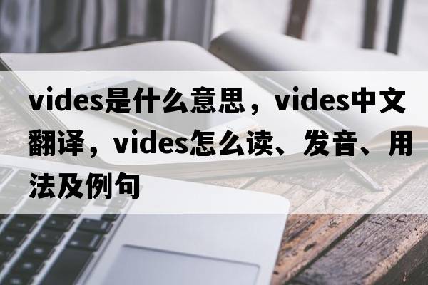 vides是什么意思，vides中文翻譯，vides怎么讀、發(fā)音、用法及例句
