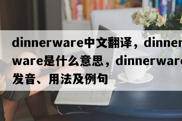 dinnerware中文翻譯，dinnerware是什么意思，dinnerware發(fā)音、用法及例句
