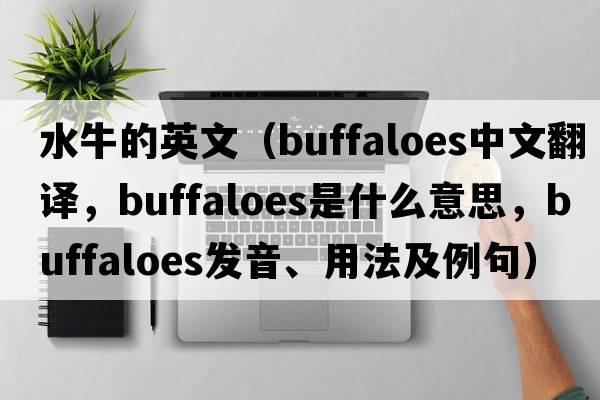 水牛的英文（buffaloes中文翻譯，buffaloes是什么意思，buffaloes發(fā)音、用法及例句）