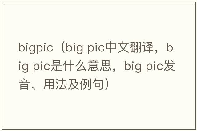 bigpic（big pic中文翻譯，big pic是什么意思，big pic發(fā)音、用法及例句）