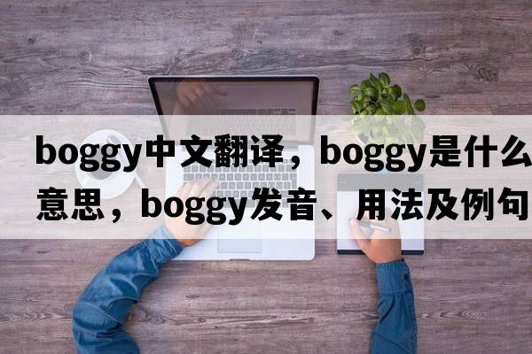 boggy中文翻譯，boggy是什么意思，boggy發(fā)音、用法及例句