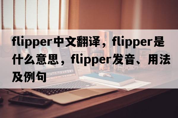 flipper中文翻譯，flipper是什么意思，flipper發(fā)音、用法及例句