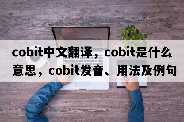 cobit中文翻譯，cobit是什么意思，cobit發(fā)音、用法及例句