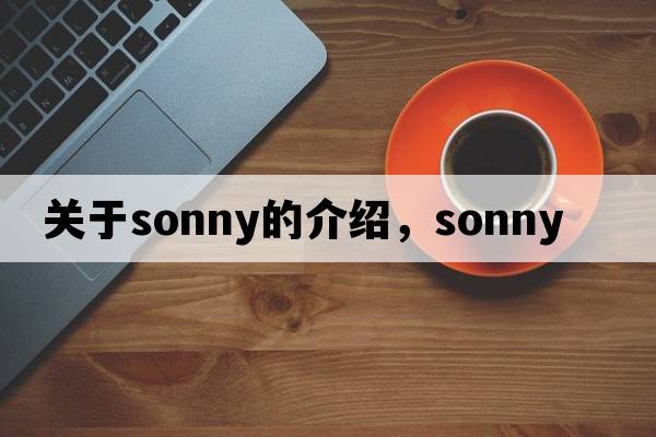 關(guān)于sonny的介紹，sonny
