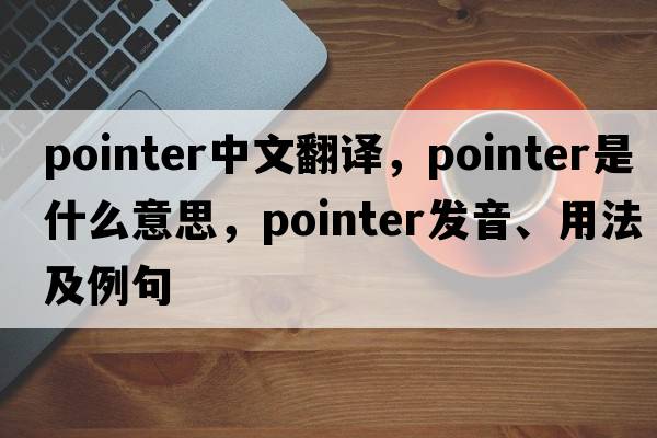 pointer中文翻譯，pointer是什么意思，pointer發(fā)音、用法及例句