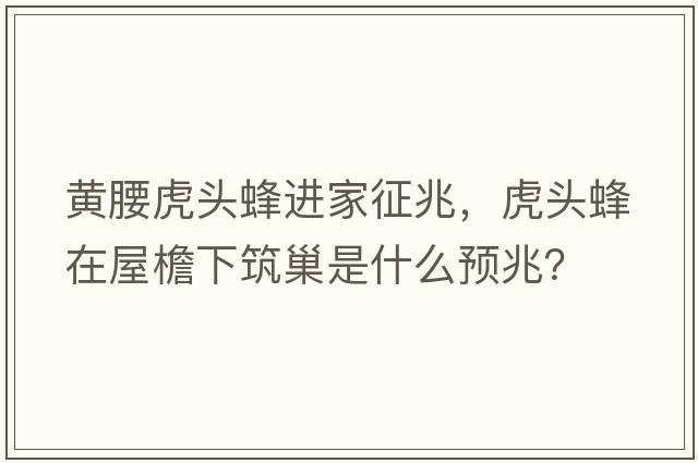 黃腰虎頭蜂進(jìn)家征兆，虎頭蜂在屋檐下筑巢是什么預(yù)兆？