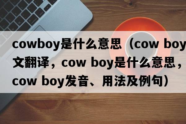 cowboy是什么意思（cow boy中文翻譯，cow boy是什么意思，cow boy發(fā)音、用法及例句）