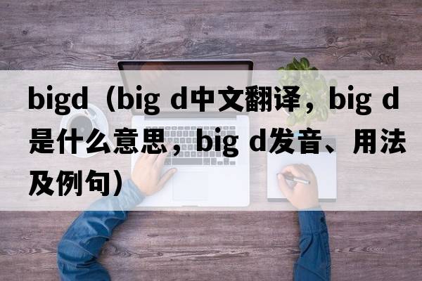 bigd（big d中文翻譯，big d是什么意思，big d發(fā)音、用法及例句）