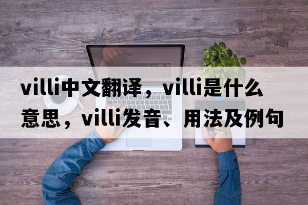 villi中文翻譯，villi是什么意思，villi發(fā)音、用法及例句