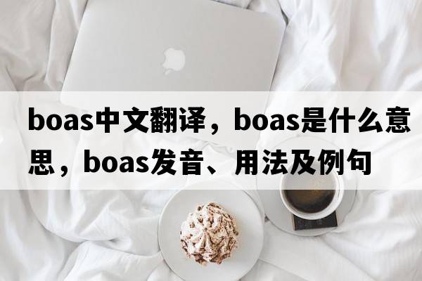 boas中文翻譯，boas是什么意思，boas發(fā)音、用法及例句
