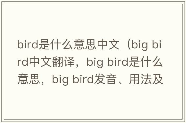 bird是什么意思中文（big bird中文翻譯，big bird是什么意思，big bird發(fā)音、用法及例句）