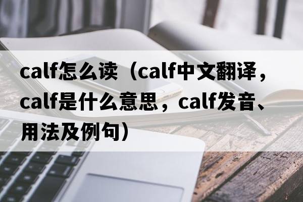 calf怎么讀（calf中文翻譯，calf是什么意思，calf發(fā)音、用法及例句）