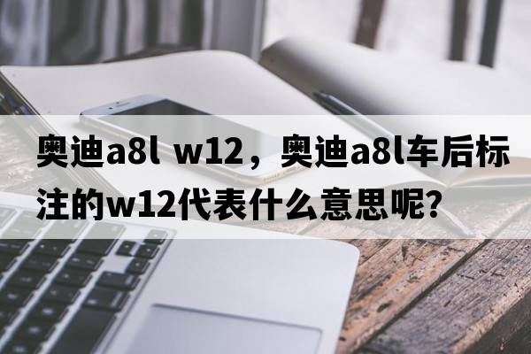 奧迪a8l w12，奧迪A8L車后標(biāo)注的W12代表什么意思呢？