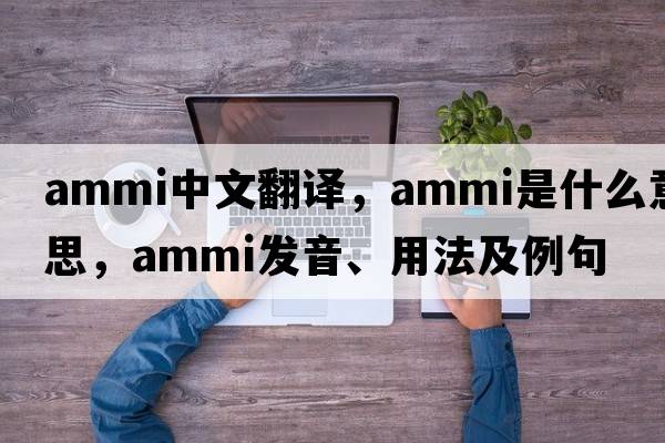 AMMI中文翻譯，AMMI是什么意思，AMMI發(fā)音、用法及例句