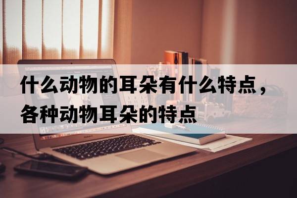 什么動(dòng)物的耳朵有什么特點(diǎn)，各種動(dòng)物耳朵的特點(diǎn)