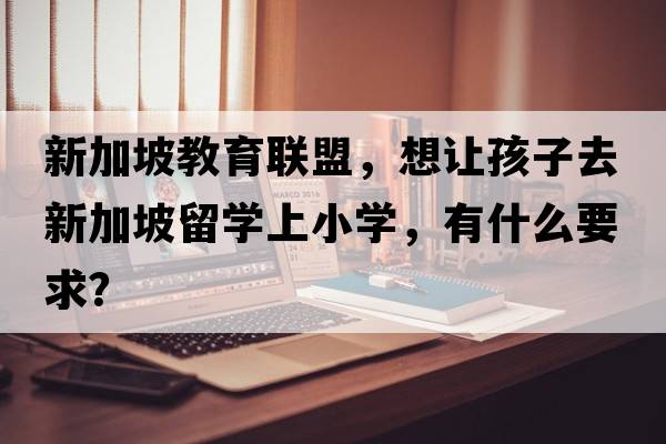 新加坡教育聯(lián)盟，想讓孩子去新加坡留學(xué)上小學(xué)，有什么要求？