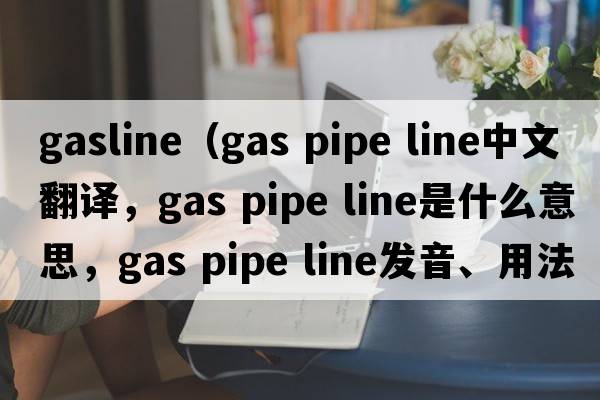 gasline（gas pipe line中文翻譯，gas pipe line是什么意思，gas pipe line發(fā)音、用法及例句）