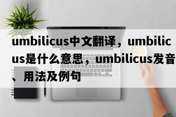 umbilicus中文翻譯，umbilicus是什么意思，umbilicus發(fā)音、用法及例句