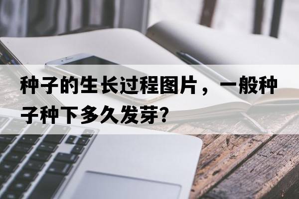 種子的生長(zhǎng)過(guò)程圖片，一般種子種下多久發(fā)芽？