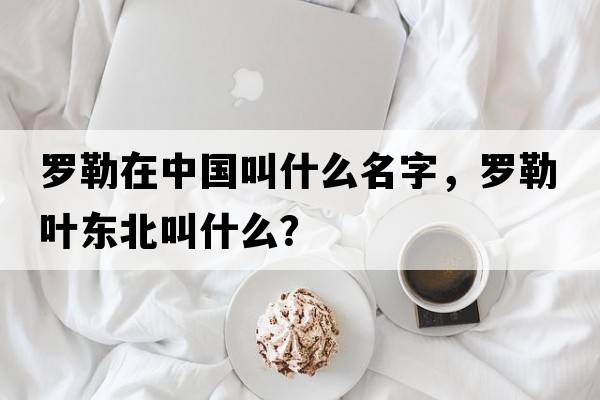 羅勒在中國叫什么名字，羅勒葉東北叫什么？