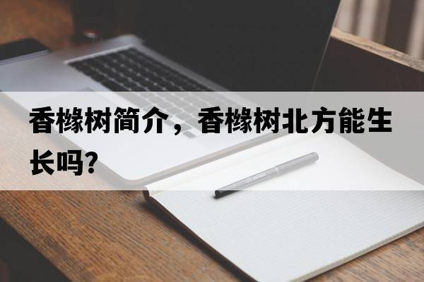 香櫞樹簡介，香櫞樹北方能生長嗎？
