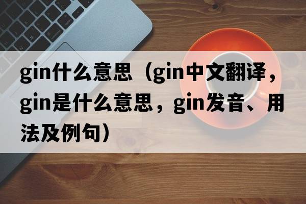 gin什么意思（gin中文翻譯，gin是什么意思，gin發(fā)音、用法及例句）