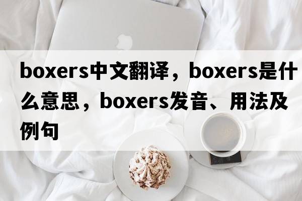 boxers中文翻譯，boxers是什么意思，boxers發(fā)音、用法及例句