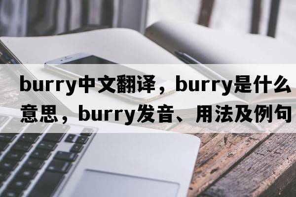 burry中文翻譯，burry是什么意思，burry發(fā)音、用法及例句