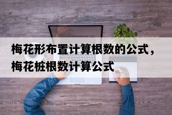 梅花形布置計(jì)算根數(shù)的公式，梅花樁根數(shù)計(jì)算公式