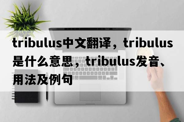 Tribulus中文翻譯，Tribulus是什么意思，Tribulus發(fā)音、用法及例句