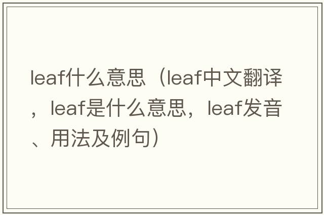 leaf什么意思（leaf中文翻譯，leaf是什么意思，leaf發(fā)音、用法及例句）