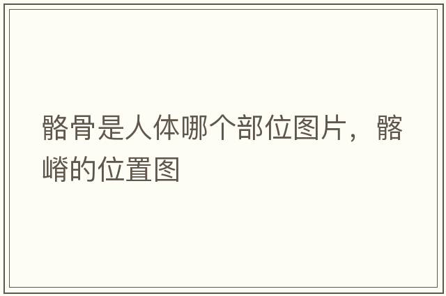骼骨是人體哪個部位圖片，髂嵴的位置圖
