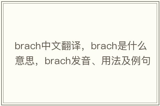 brach中文翻譯，brach是什么意思，brach發(fā)音、用法及例句