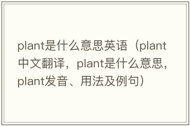 plant是什么意思英語（plant中文翻譯，plant是什么意思，plant發(fā)音、用法及例句）