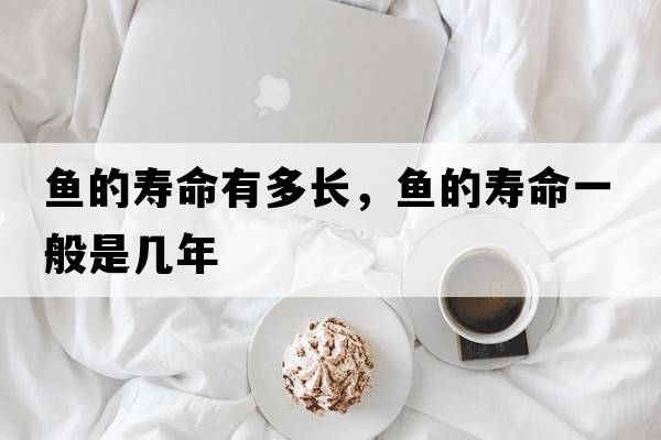 魚(yú)的壽命有多長(zhǎng)，魚(yú)的壽命一般是幾年